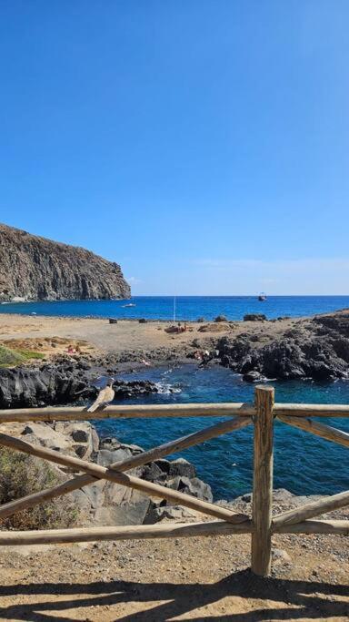 Apartman Los Cristianos-Cristimar 洛斯克里斯蒂亚诺斯 外观 照片